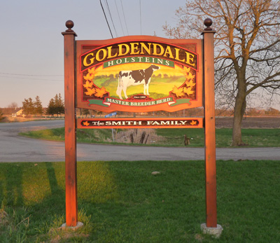 Goldendale Holsteins